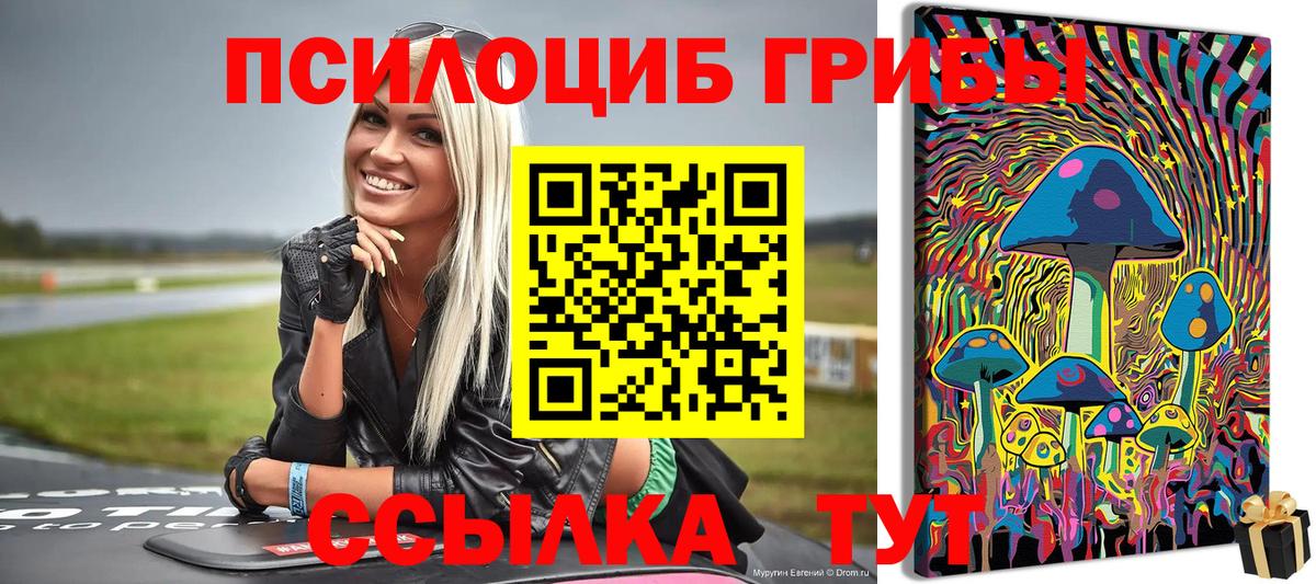 Галлюциногенные грибы Psilocybe  Вход с VPN  Кудымкар  Галлюциногенные грибы MAGIC MUSHROOMS 