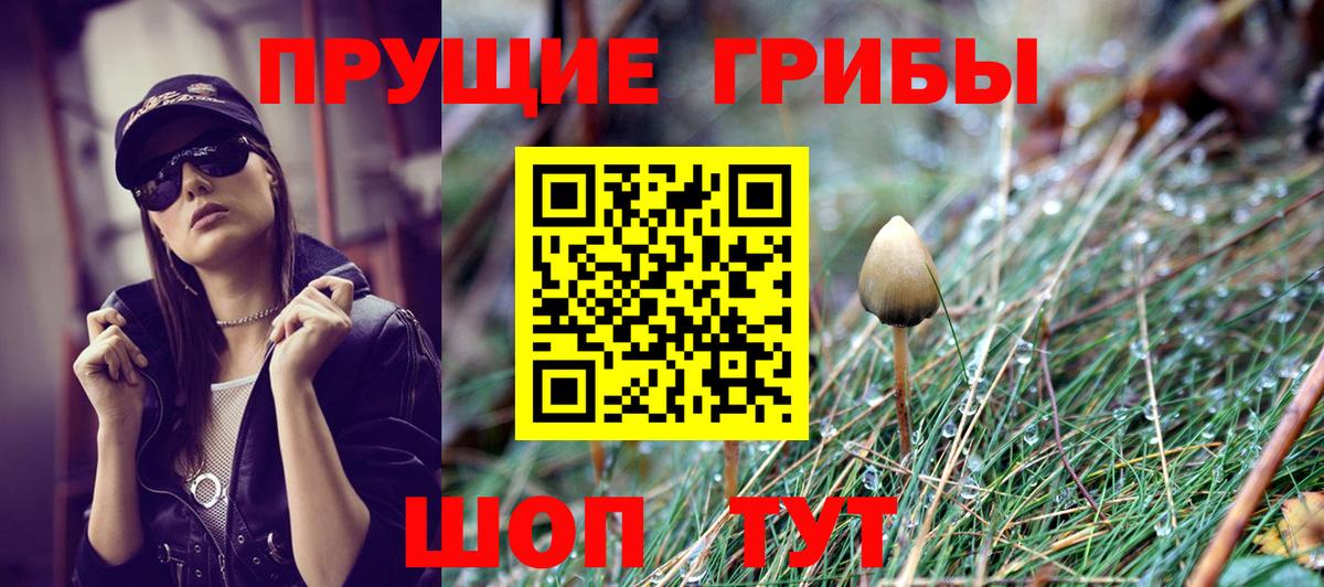 Галлюциногенные грибы GOLDEN TEACHER Кудымкар
